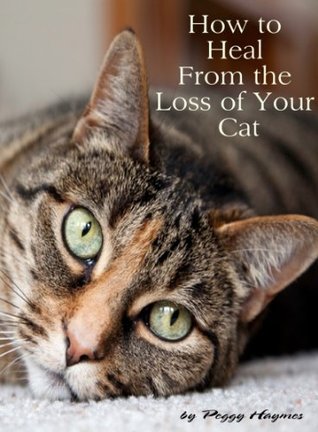 How to Heal From the Loss of Your Cat