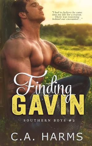 Finding Gavin (Southern Boys, #2)