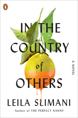 In the Country of Others (Le pays des autres, #1)