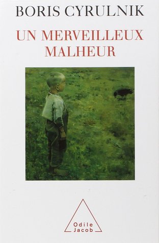 Un merveilleux malheur