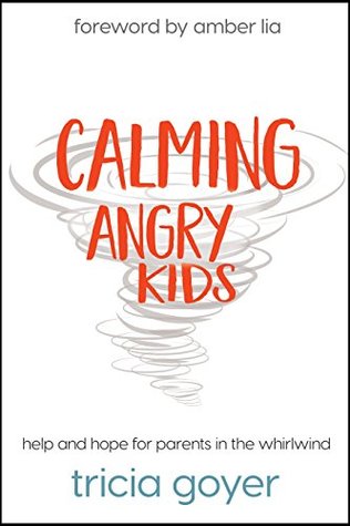 Calming Angry Kids: Help and Hope for Parents in the Whirlwind