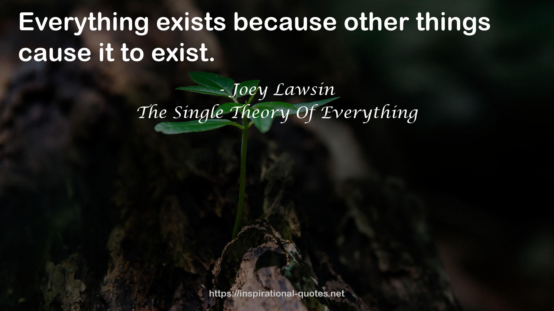 The Single Theory Of Everything QUOTES