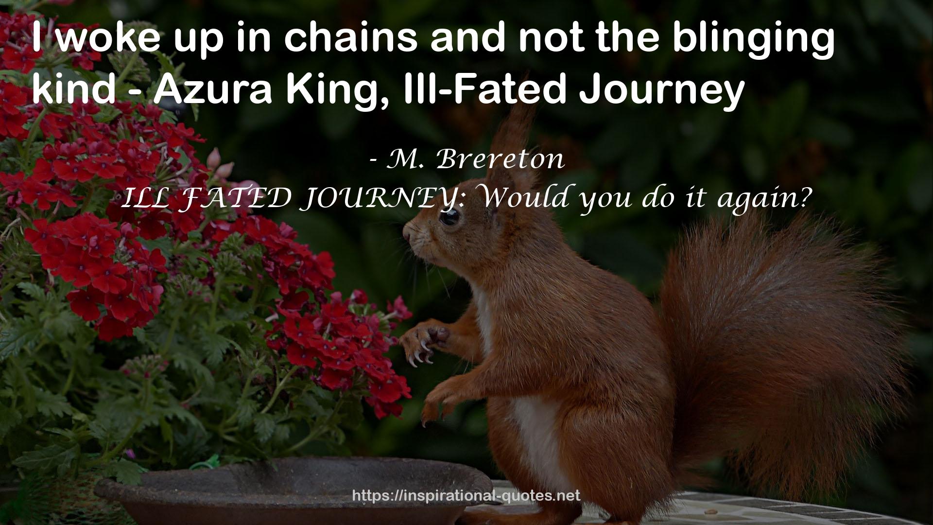 ILL FATED JOURNEY: Would you do it again? QUOTES