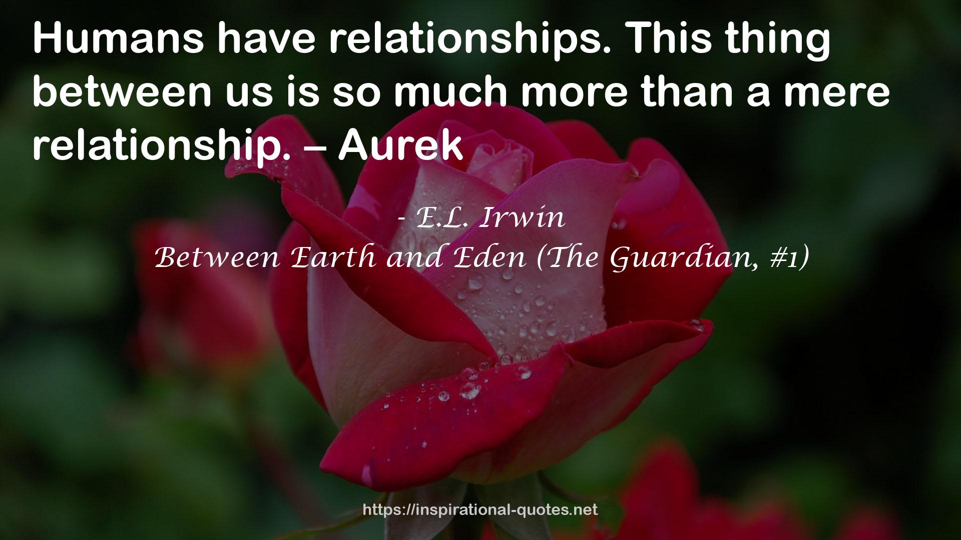 E.L. Irwin QUOTES