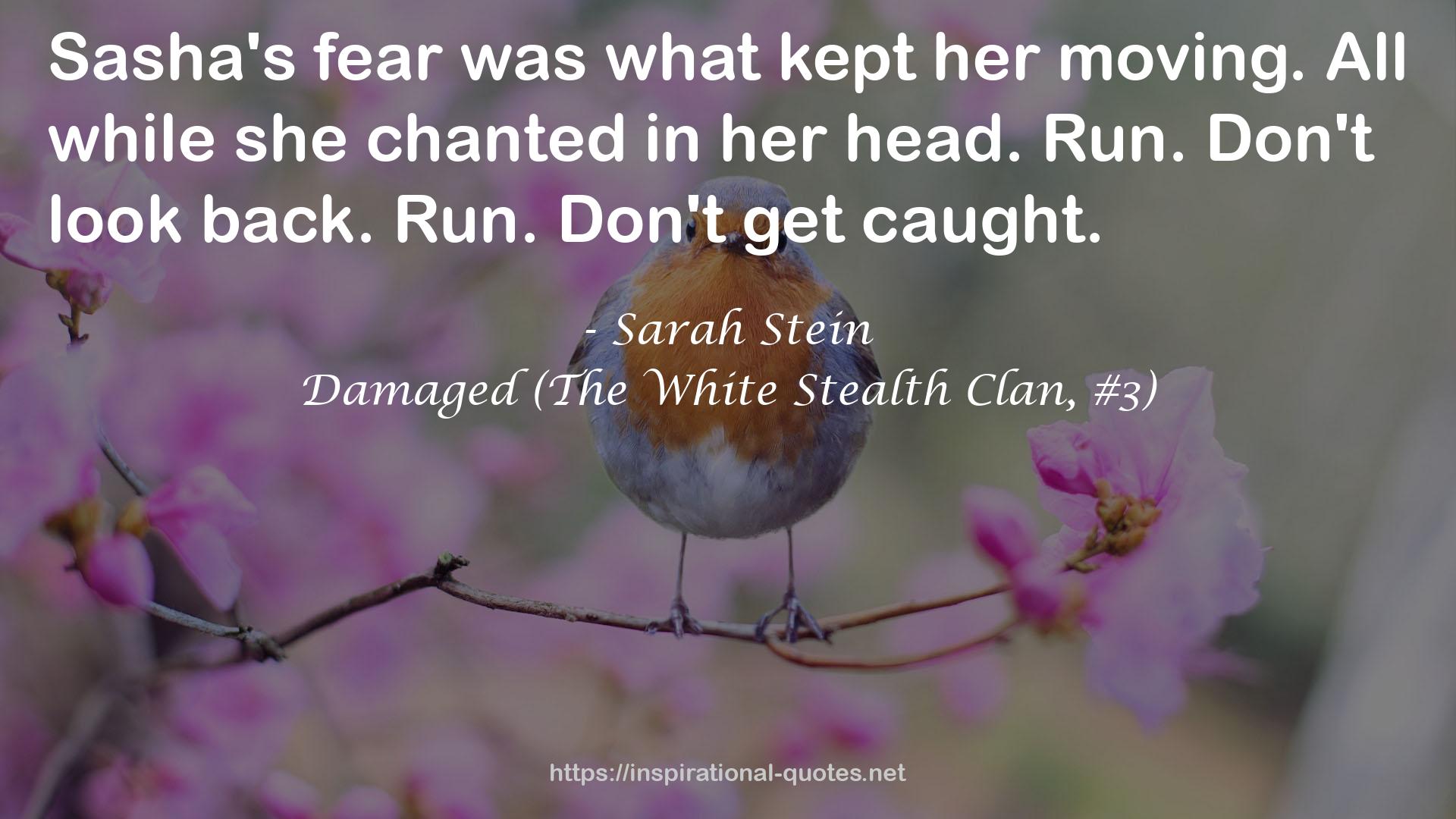Damaged (The White Stealth Clan, #3) QUOTES
