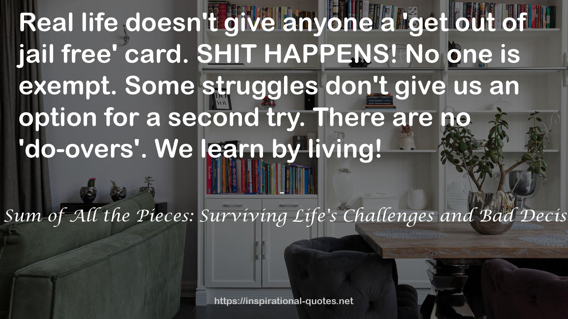 The Sum of All the Pieces: Surviving Life's Challenges and Bad Decisions QUOTES