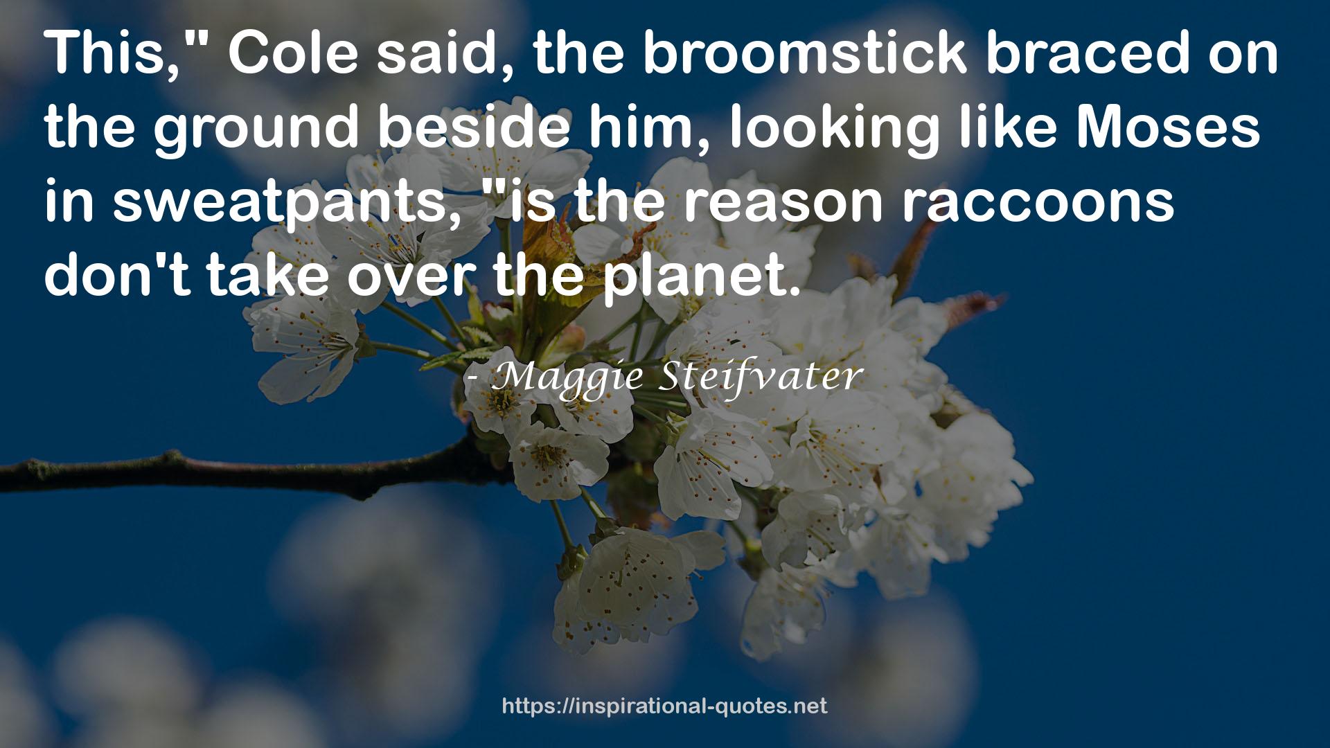 Maggie Steifvater QUOTES