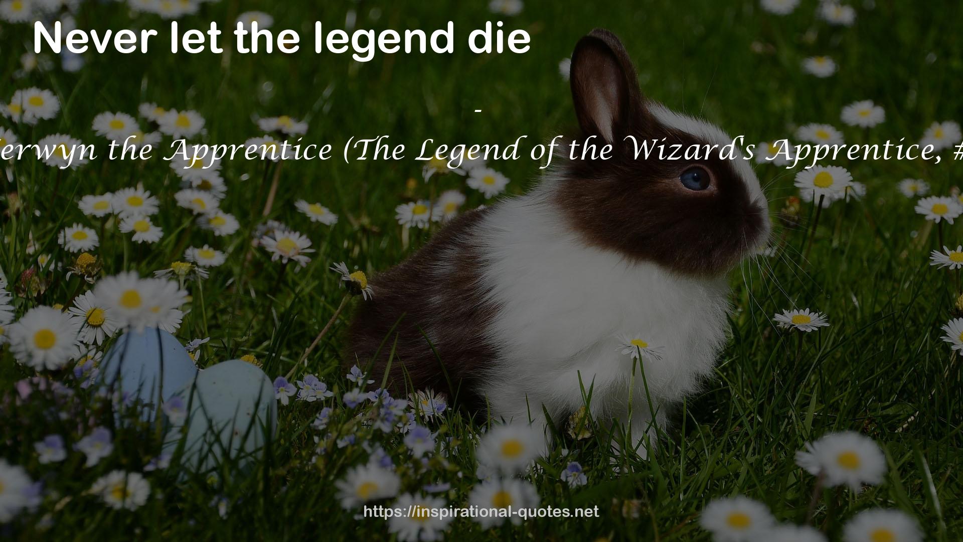 Kerwyn the Apprentice (The Legend of the Wizard's Apprentice, #1) QUOTES