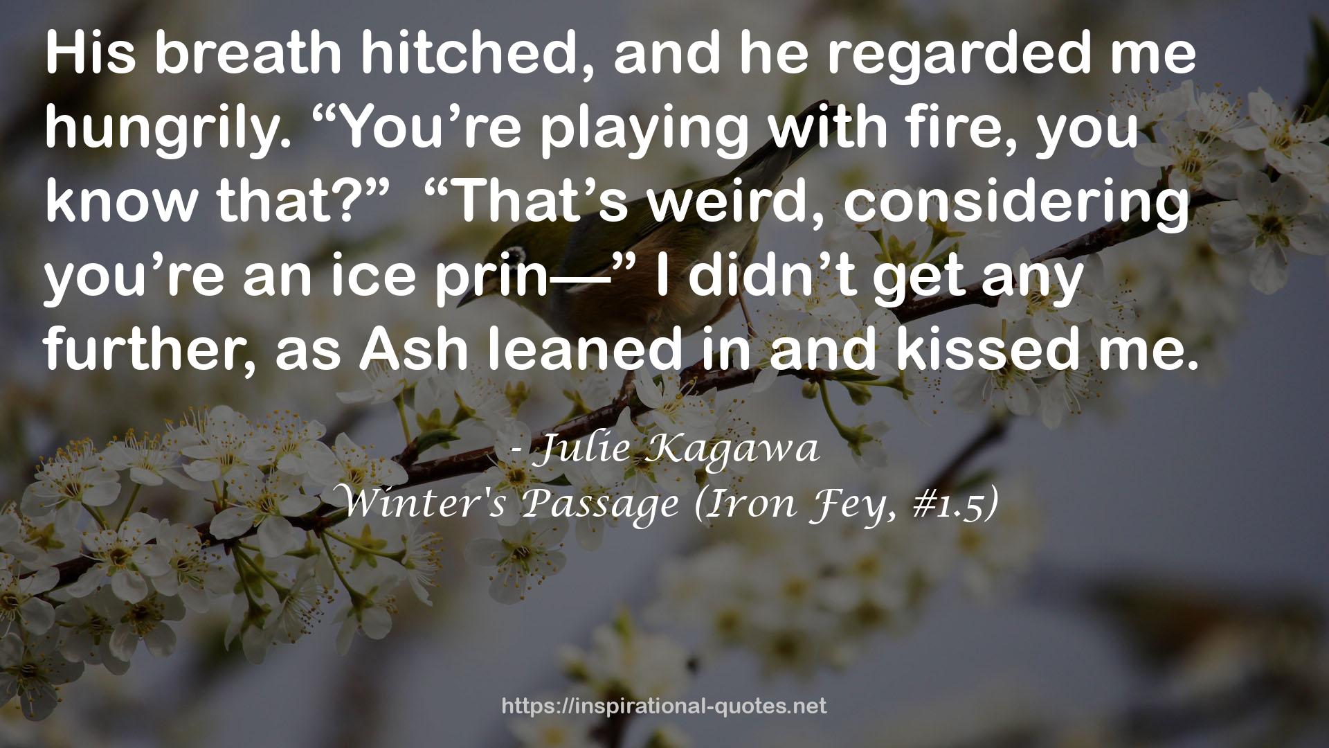 Winter's Passage (Iron Fey, #1.5) QUOTES