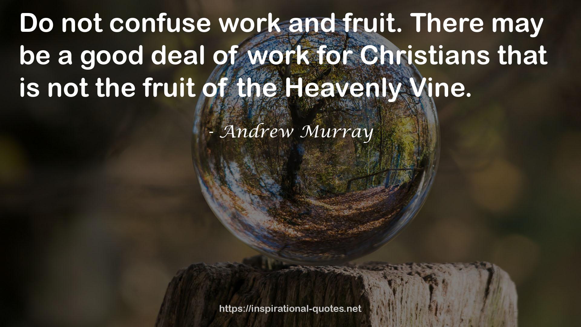 Andrew Murray QUOTES