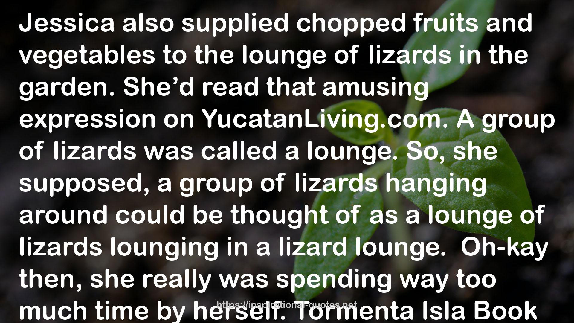 Tormenta Isla (Isla Mujeres Mystery #3) QUOTES