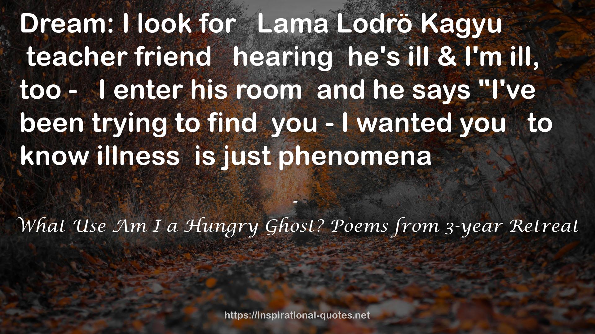 What Use Am I a Hungry Ghost? Poems from 3-year Retreat QUOTES
