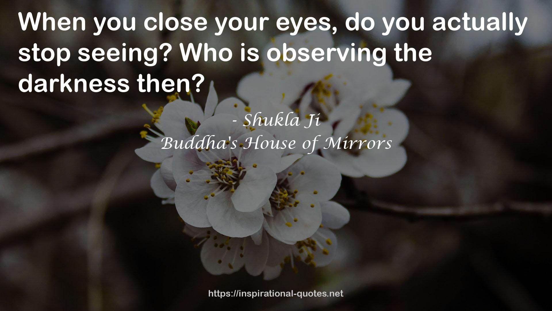 Buddha's House of Mirrors QUOTES