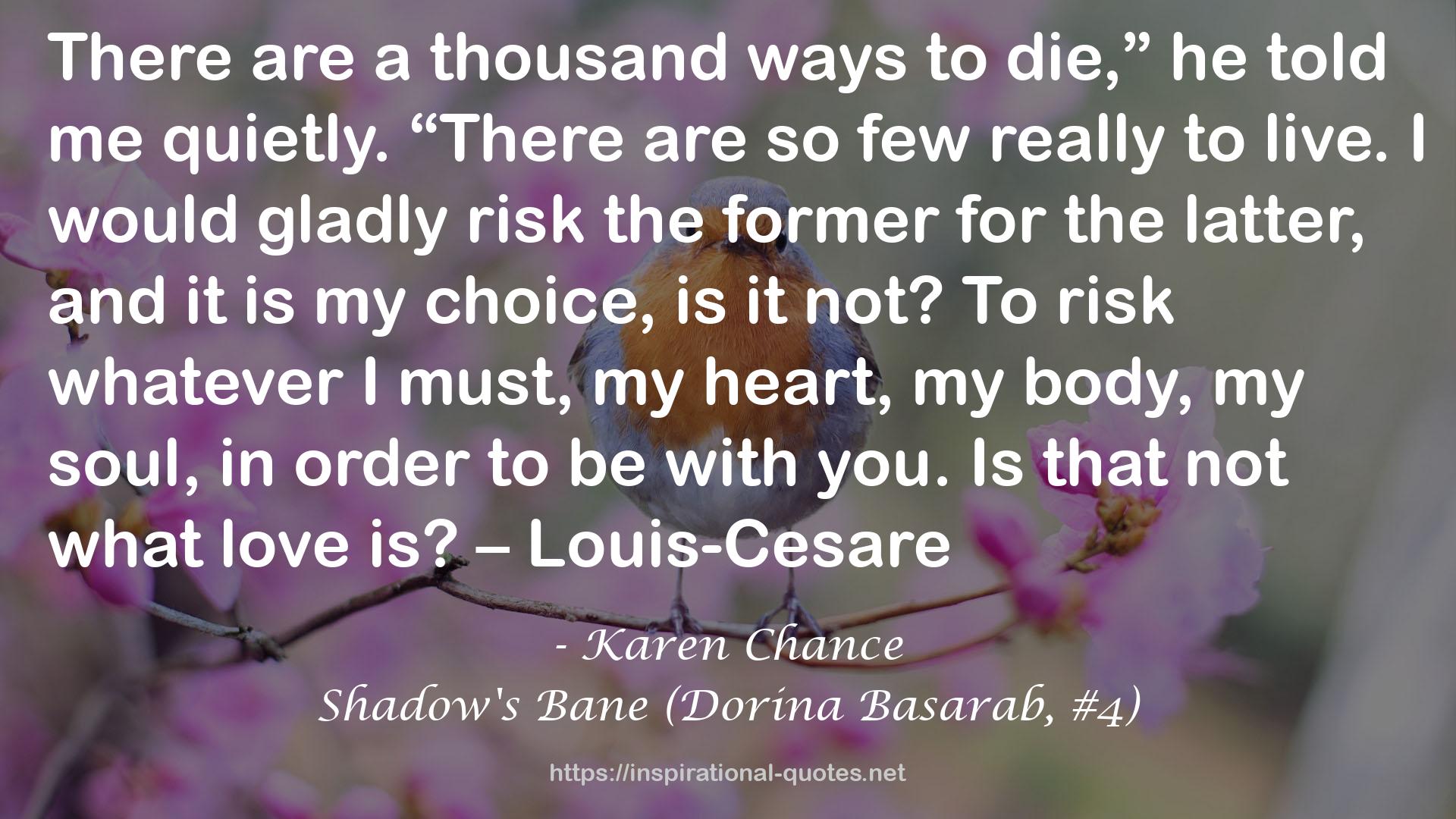 Shadow's Bane (Dorina Basarab, #4) QUOTES