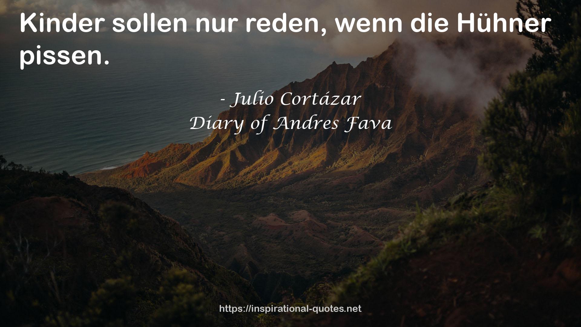 Diary of Andres Fava QUOTES