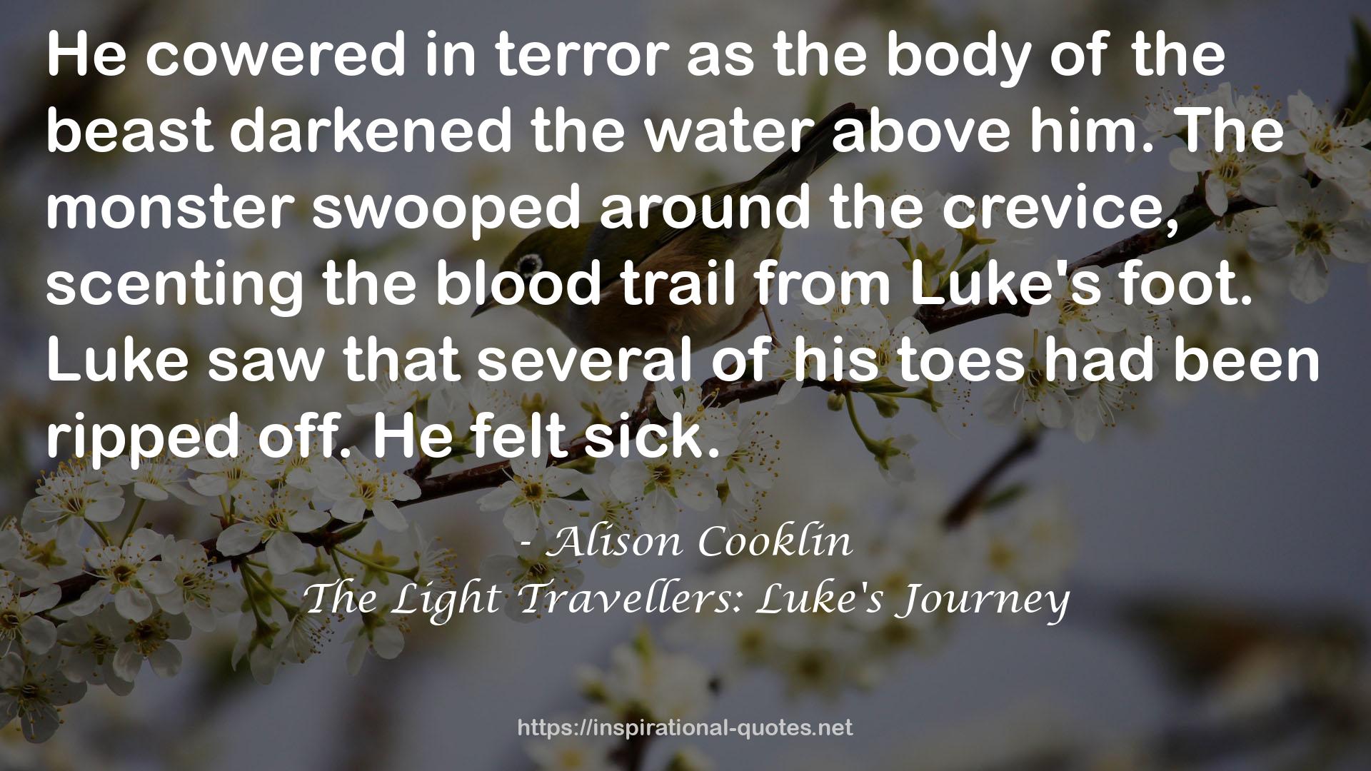 The Light Travellers: Luke's Journey QUOTES