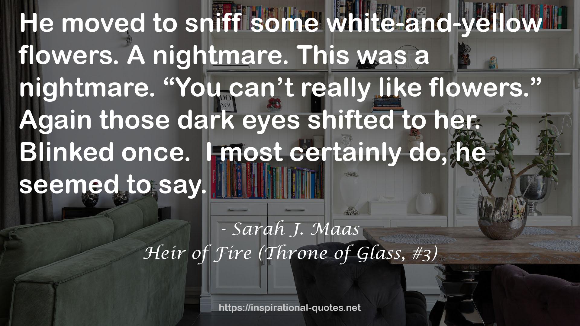 Heir of Fire (Throne of Glass, #3) QUOTES