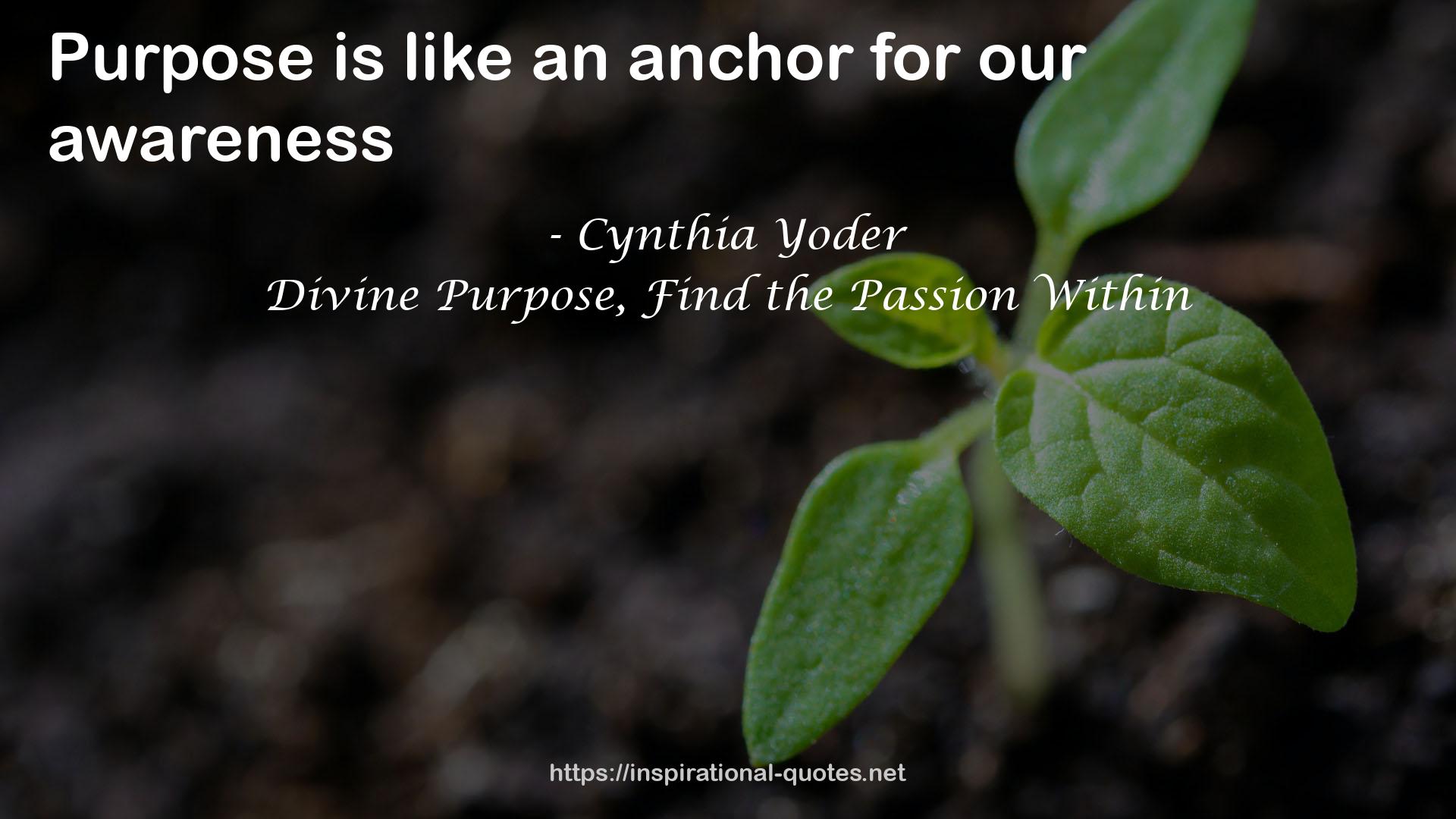 Divine Purpose, Find the Passion Within QUOTES