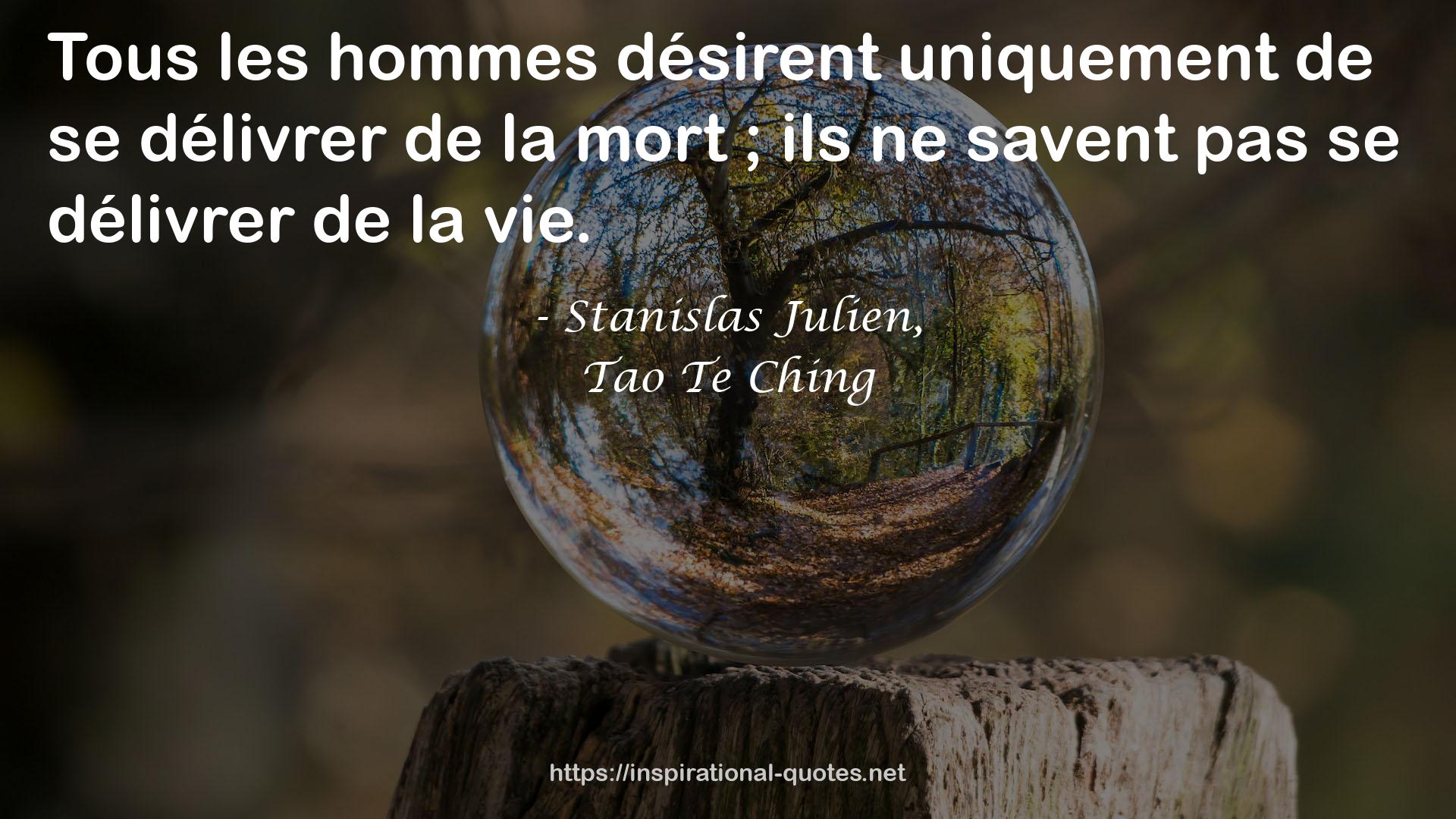 Stanislas Julien, QUOTES