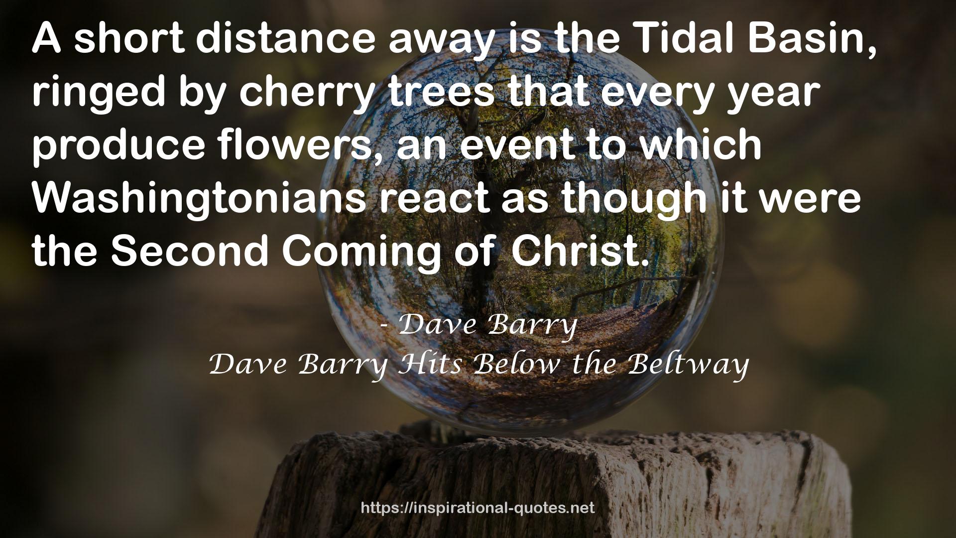 Dave Barry Hits Below the Beltway QUOTES