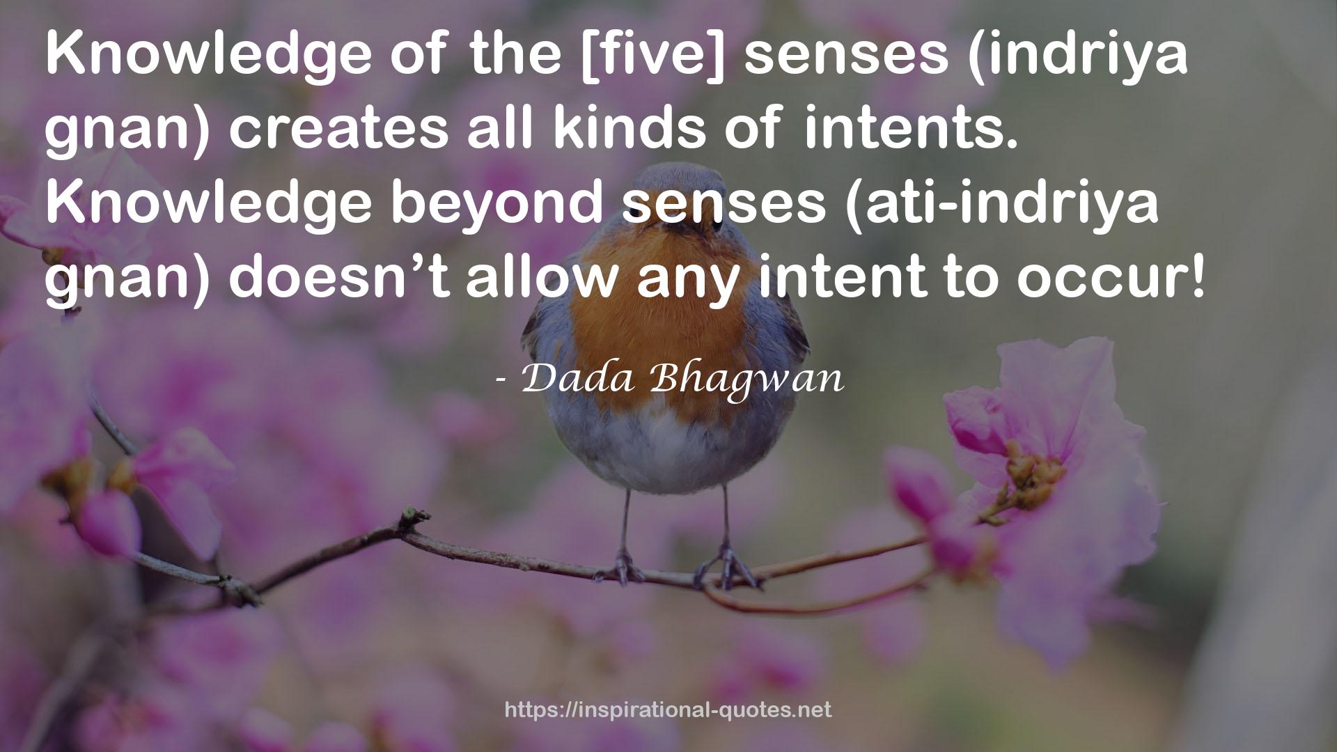 the [five] senses  QUOTES