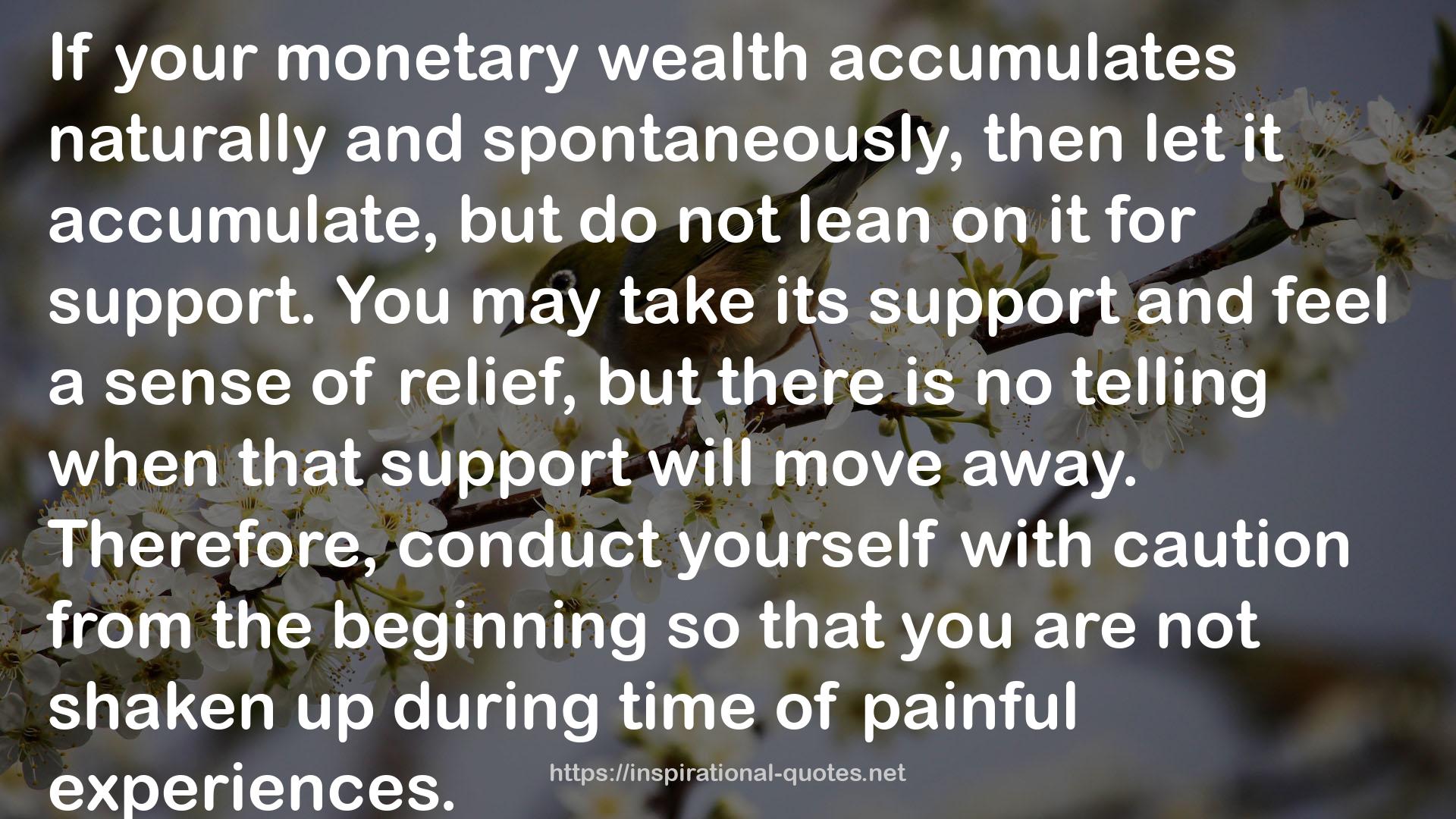 your monetary wealth  QUOTES