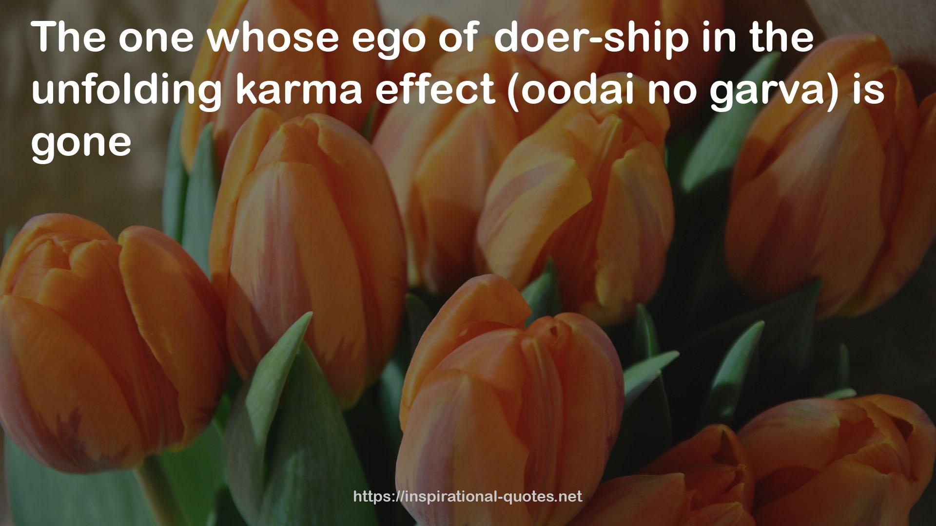 the unfolding karma effect  QUOTES