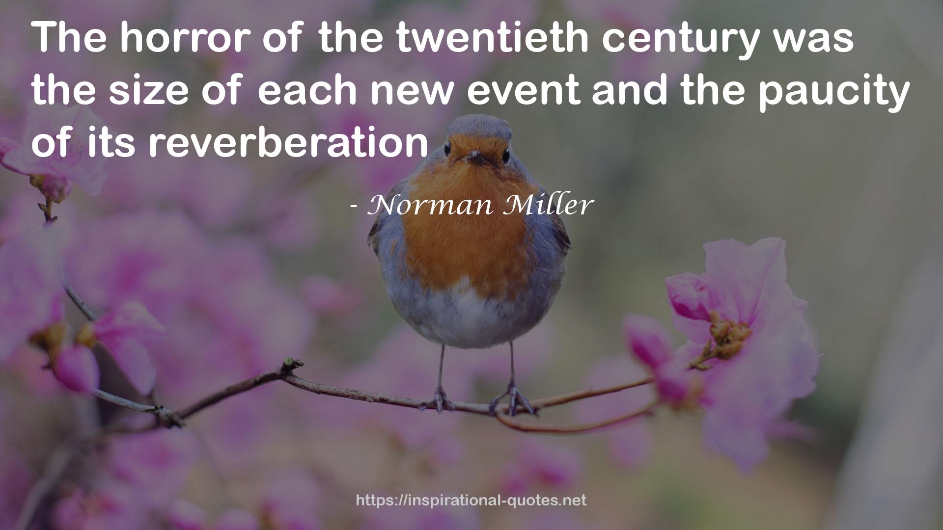 Norman Miller QUOTES