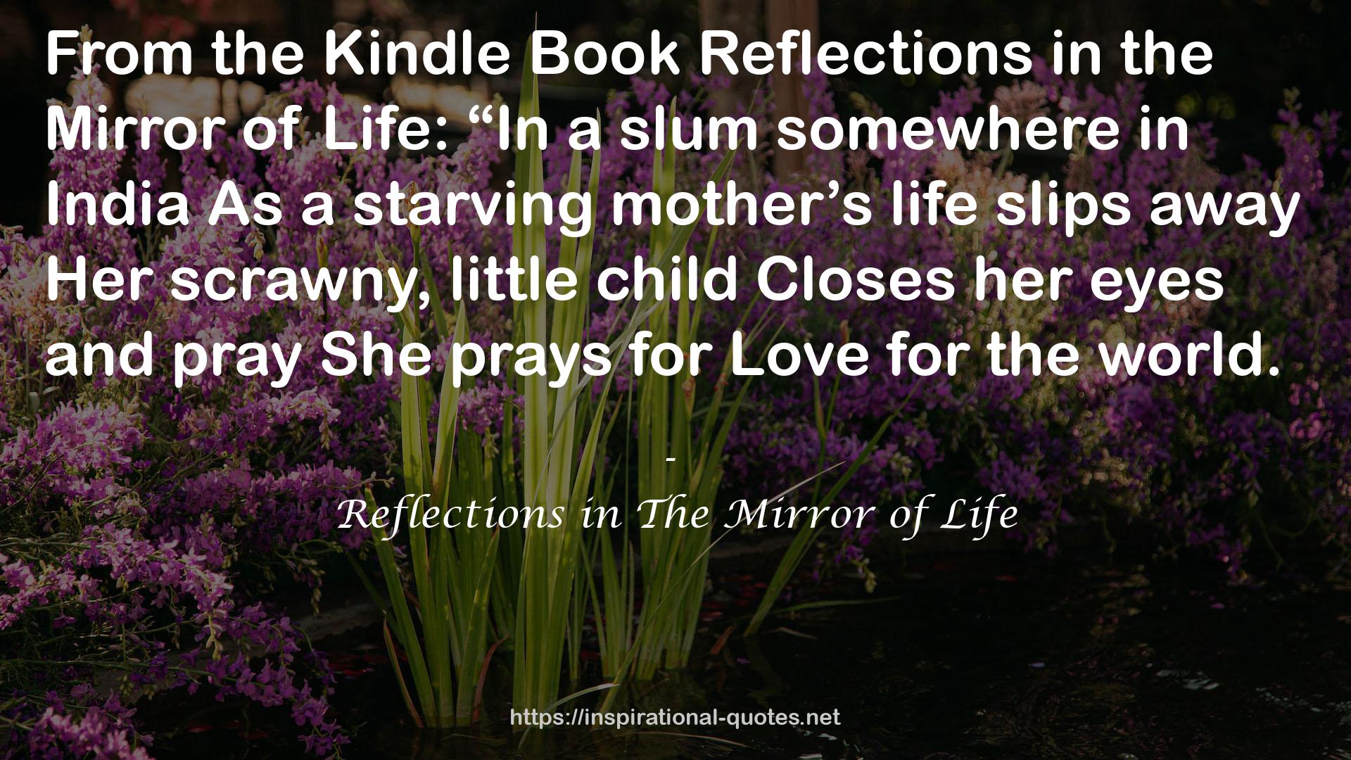 Reflections in The Mirror of Life QUOTES