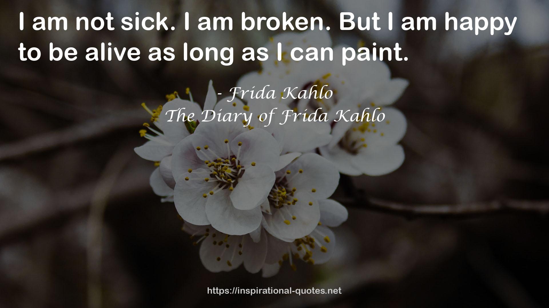 The Diary of Frida Kahlo QUOTES