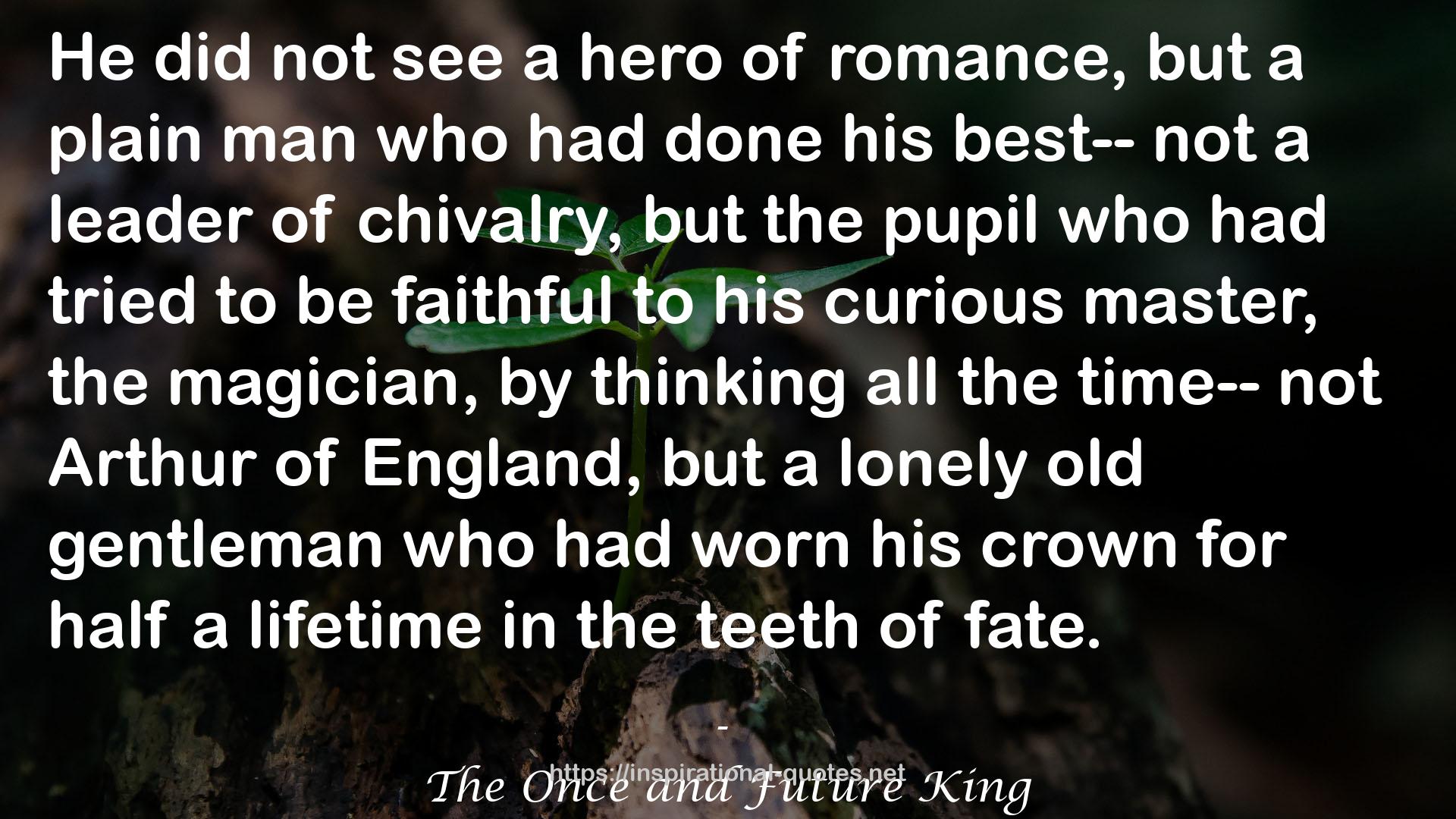 The Once and Future King QUOTES