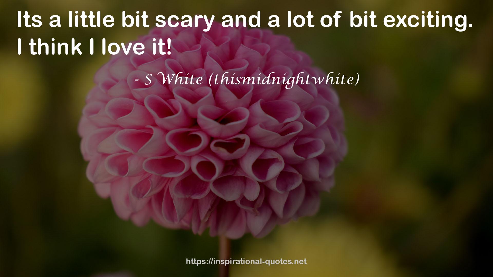 S White (thismidnightwhite) QUOTES