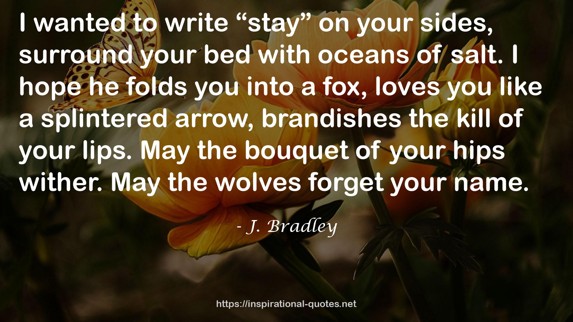 J. Bradley QUOTES