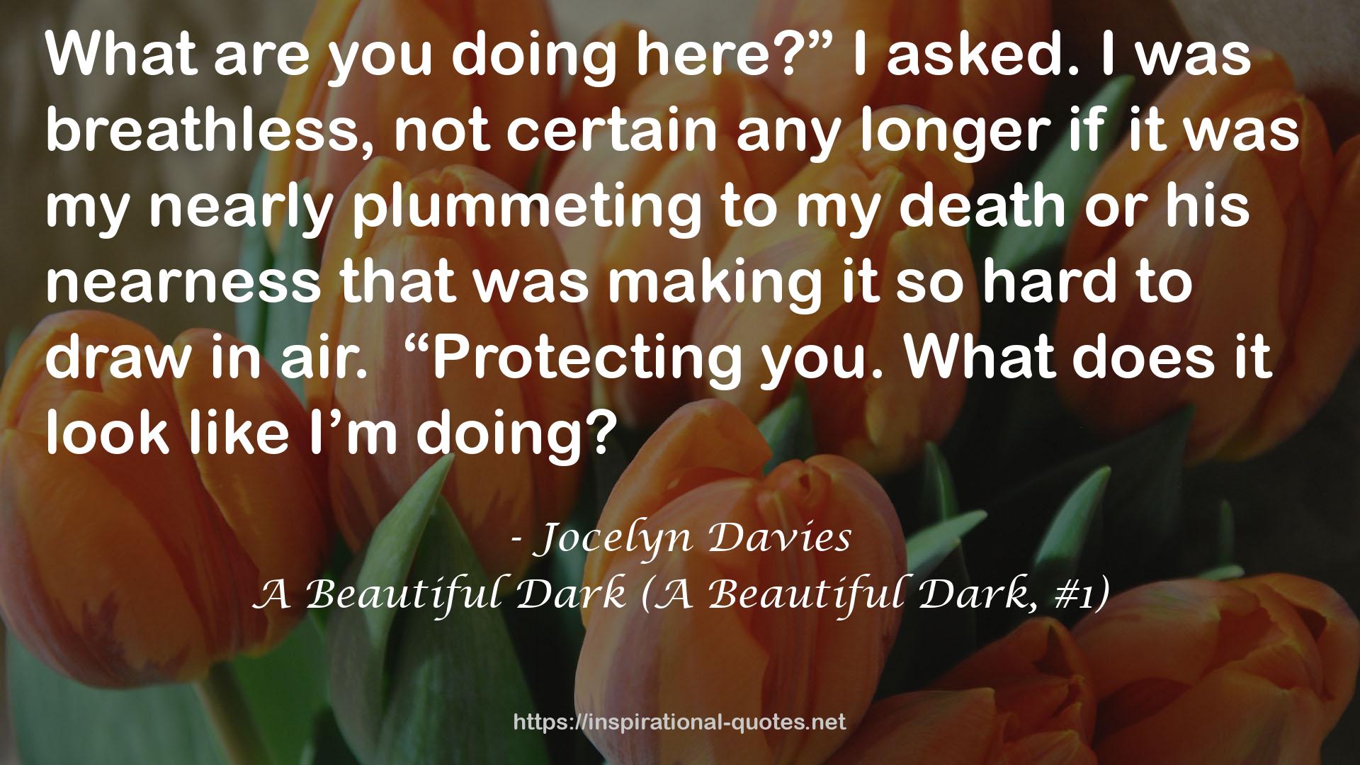 A Beautiful Dark (A Beautiful Dark, #1) QUOTES