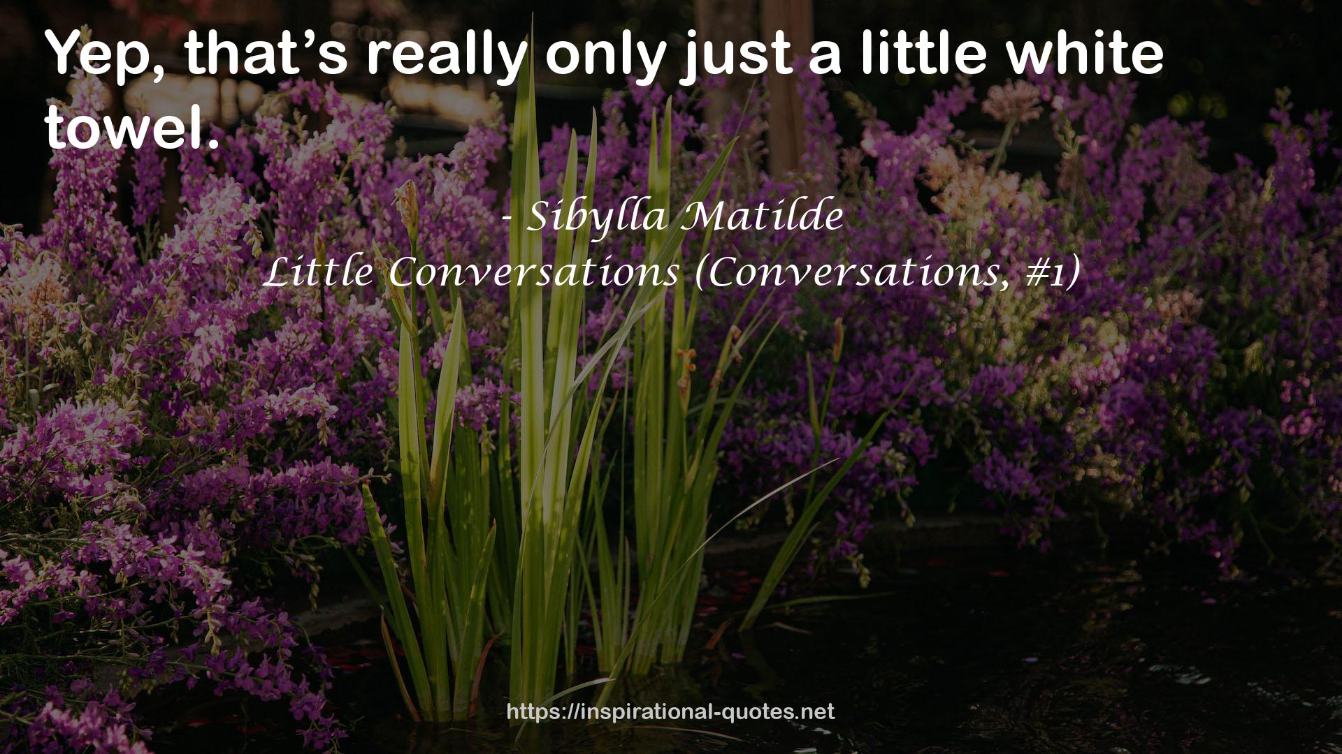 Little Conversations (Conversations, #1) QUOTES