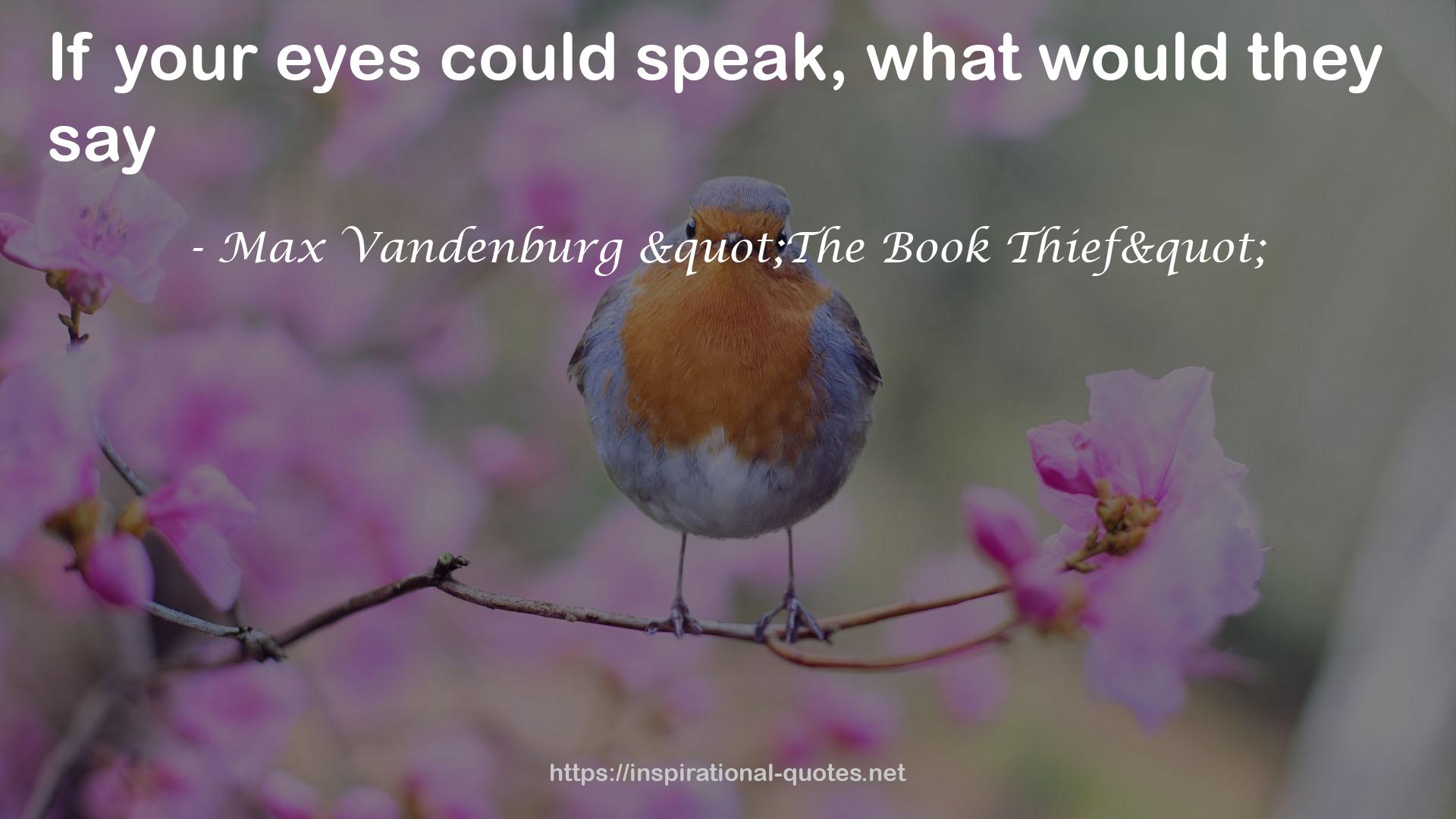Max Vandenburg "The Book Thief" QUOTES