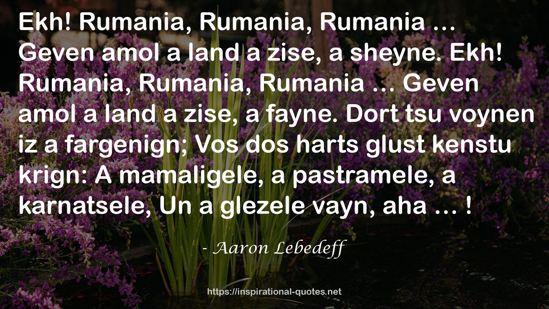 Aaron Lebedeff QUOTES