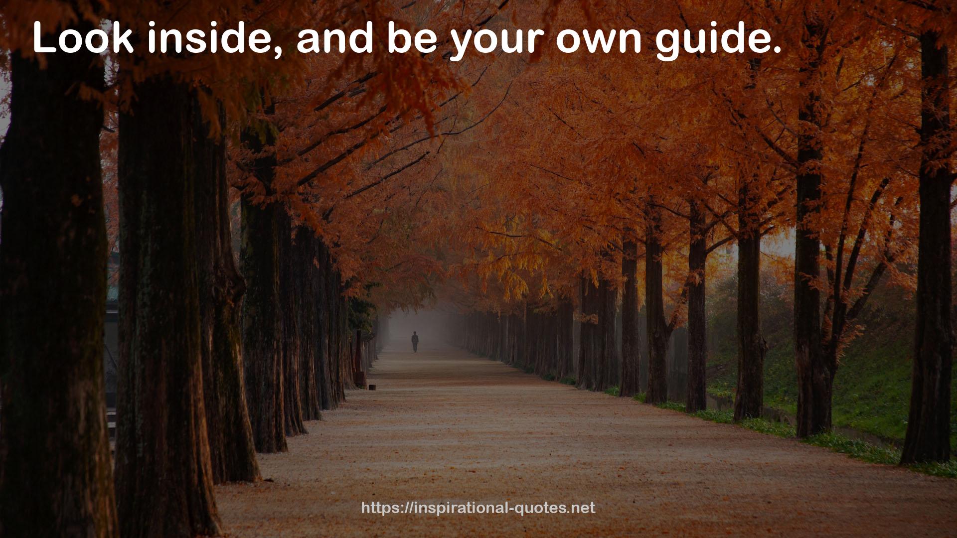 your own guide  QUOTES