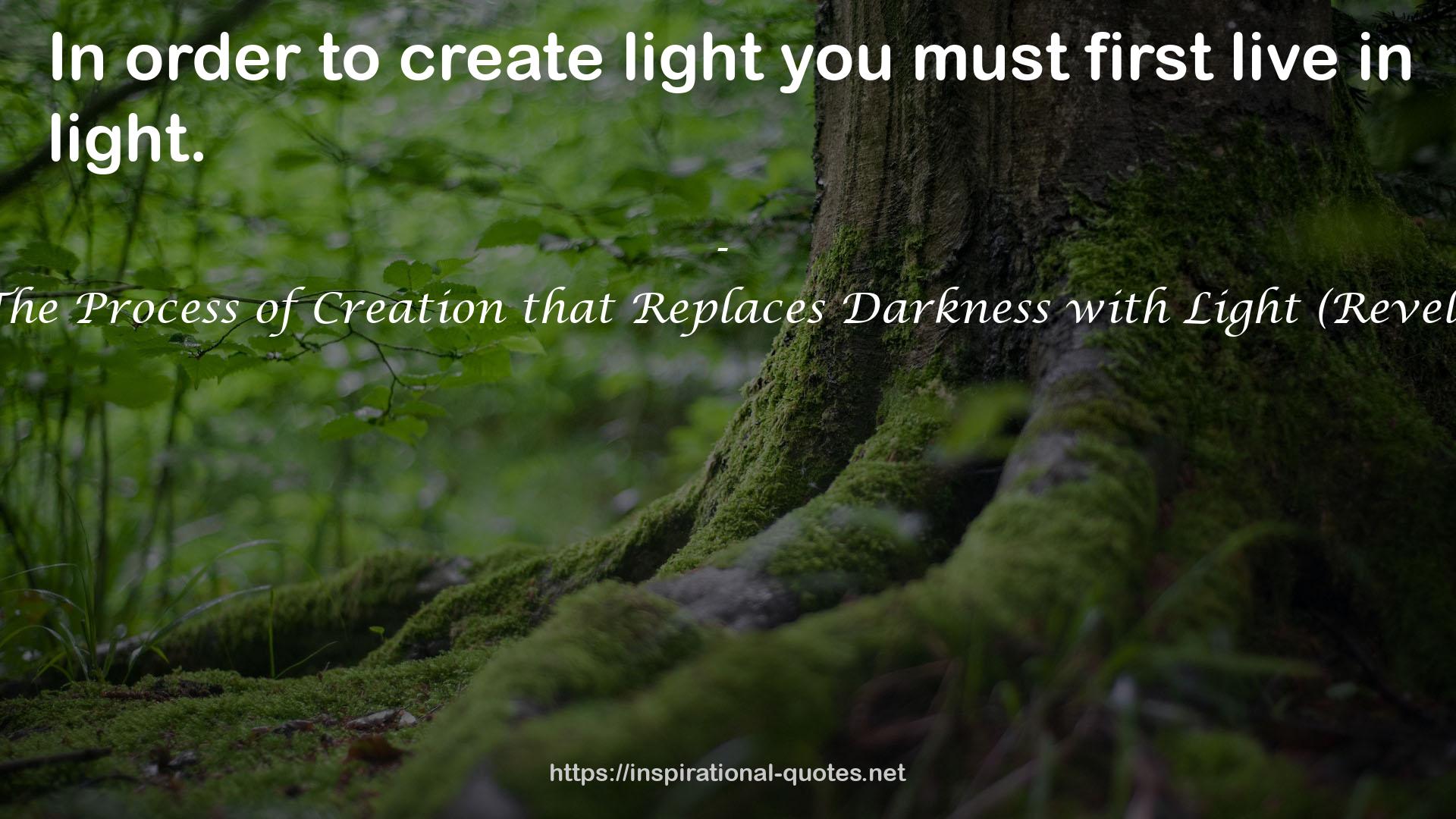 Forgiveness: The Process of Creation that Replaces Darkness with Light (Revelations Book 3) QUOTES