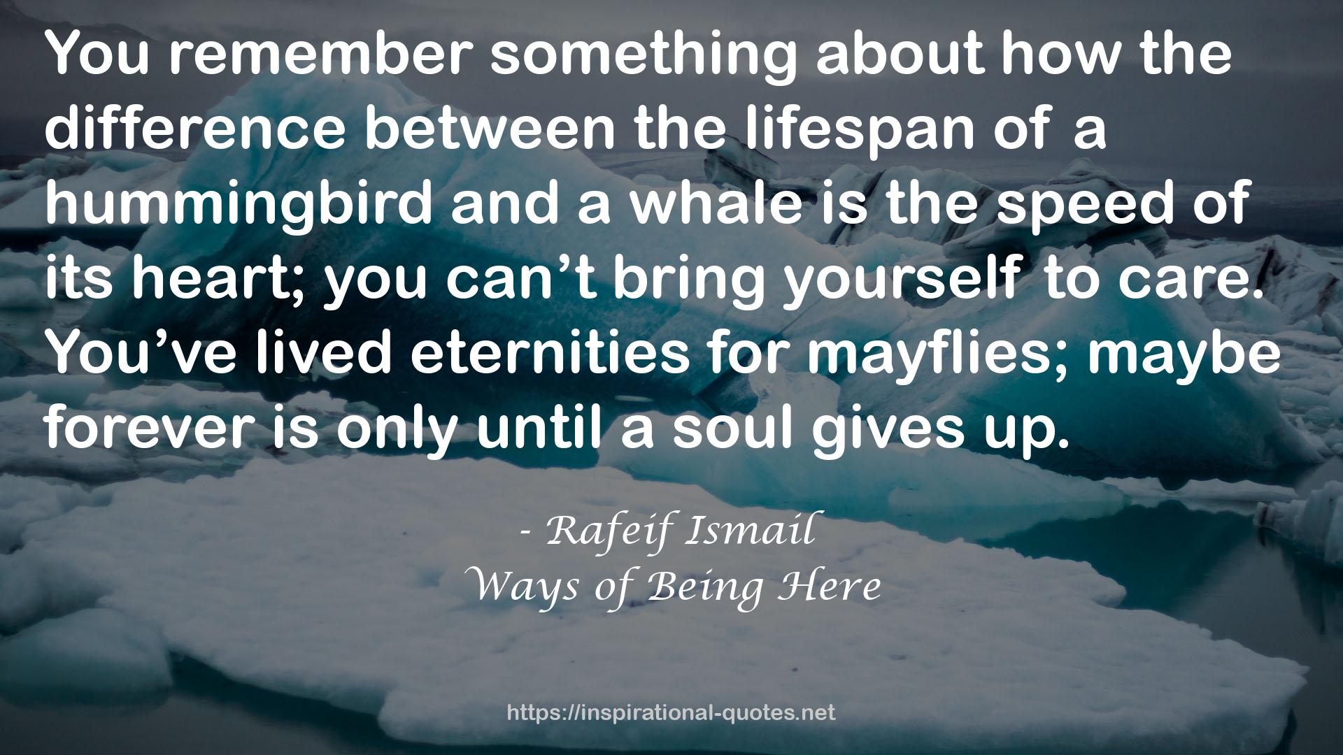 Ways of Being Here QUOTES
