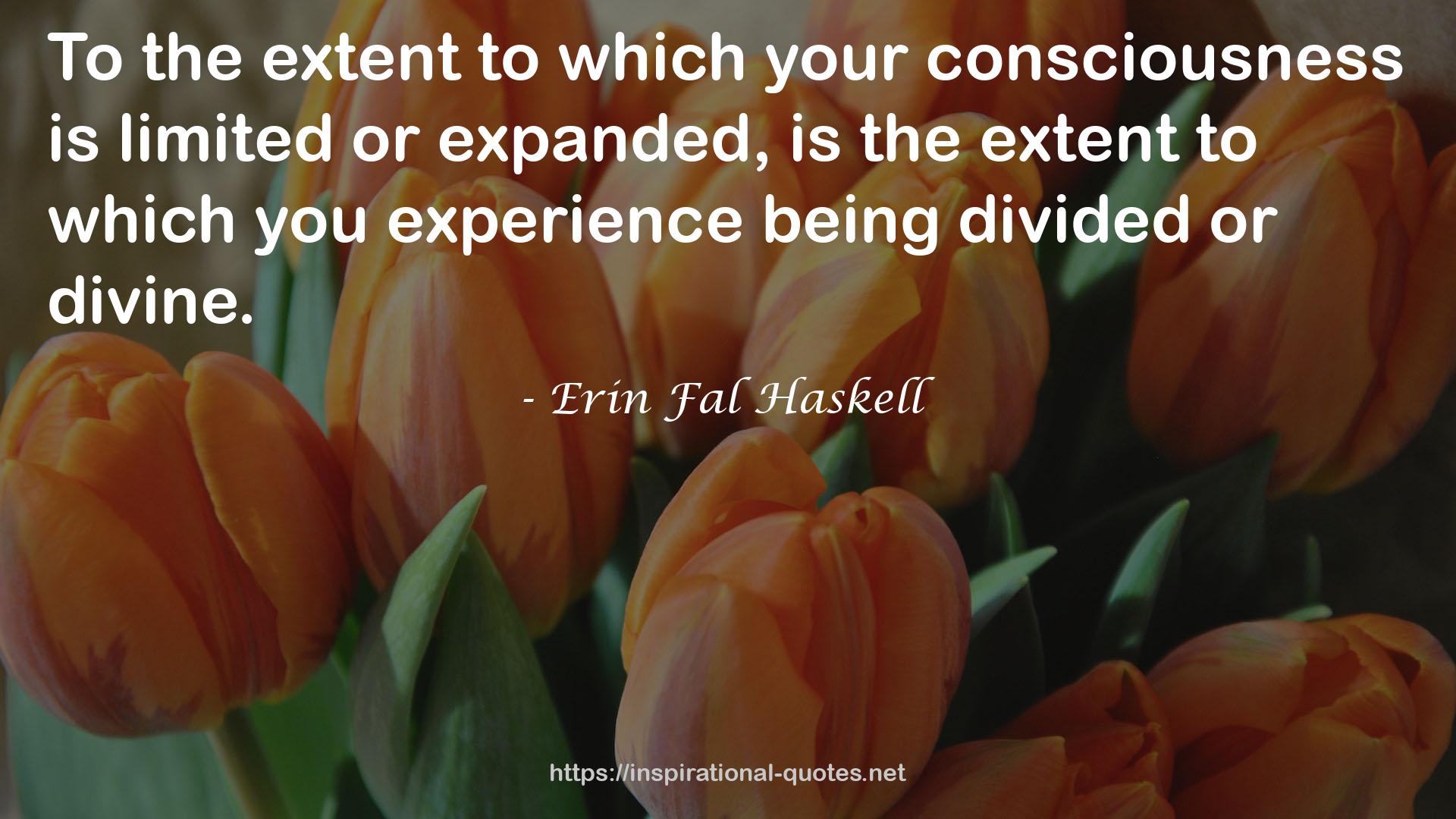 Erin Fal Haskell QUOTES