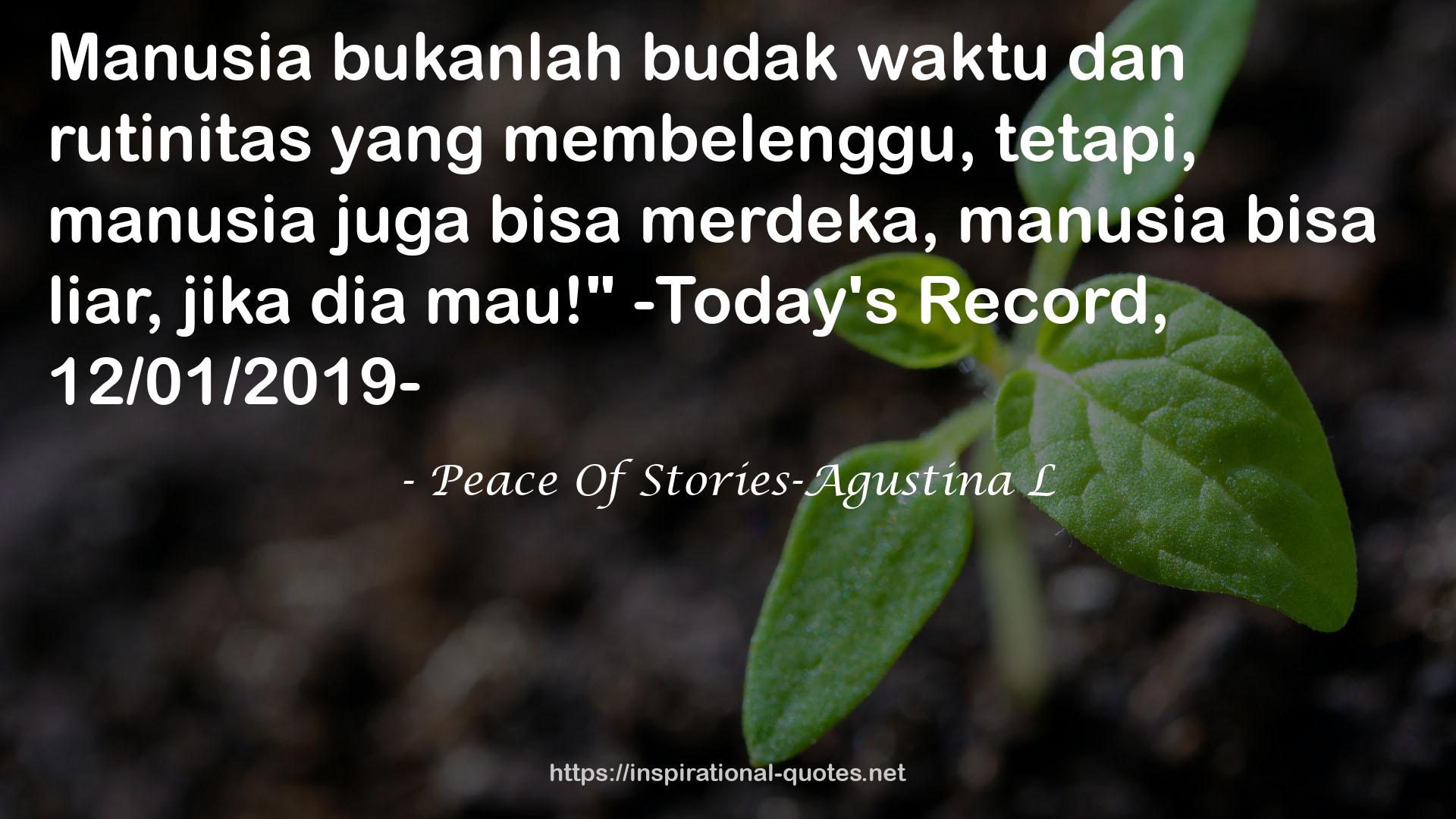 Peace Of Stories-Agustina L QUOTES