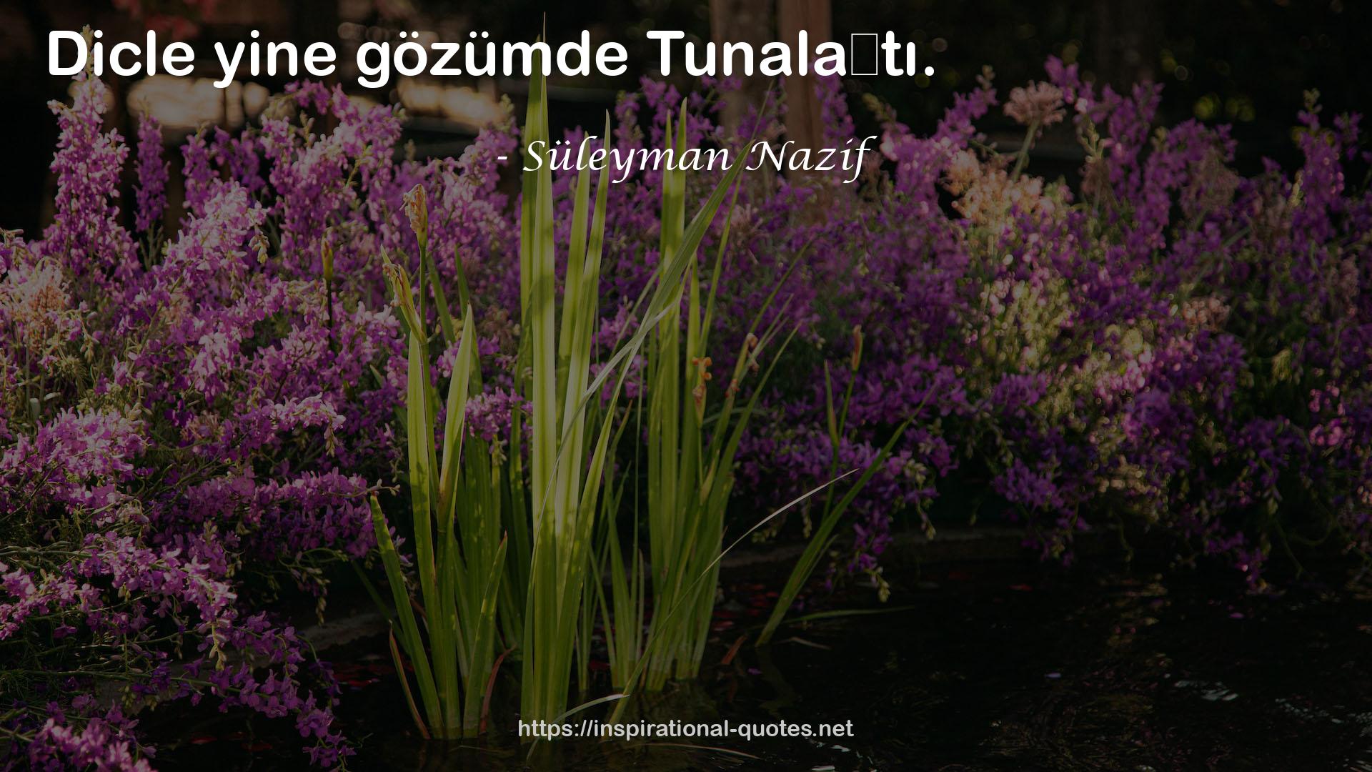 Süleyman Nazif QUOTES