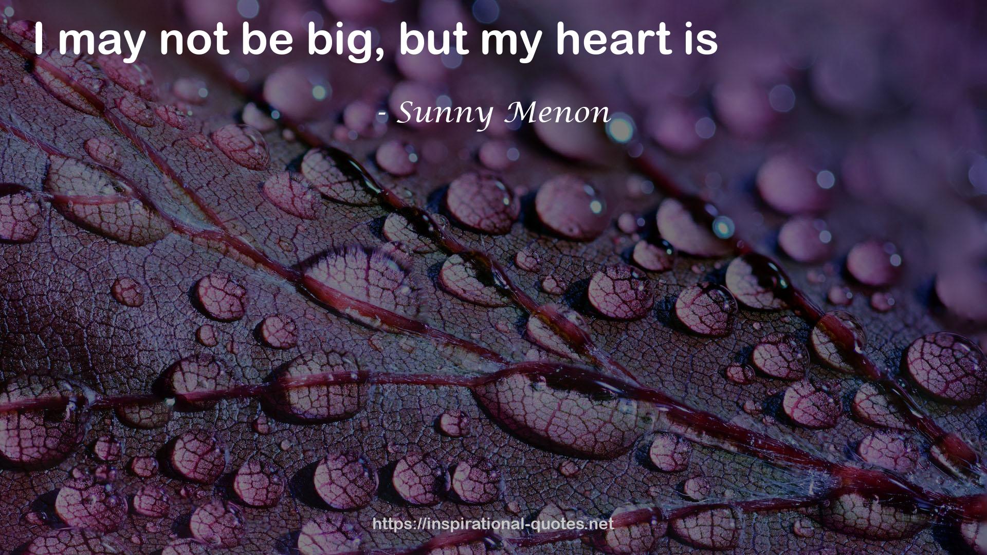 Sunny Menon QUOTES