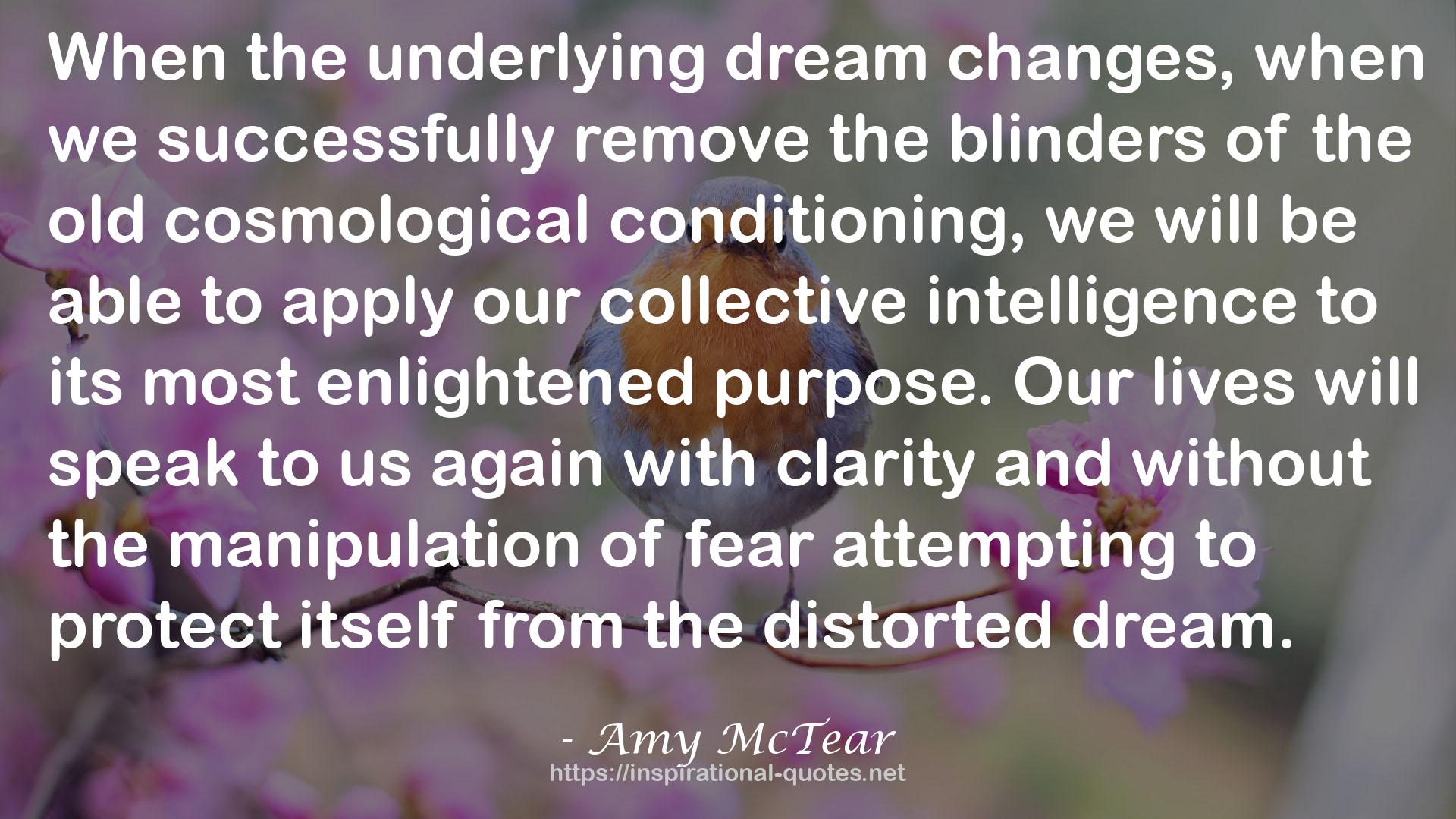 Amy McTear QUOTES