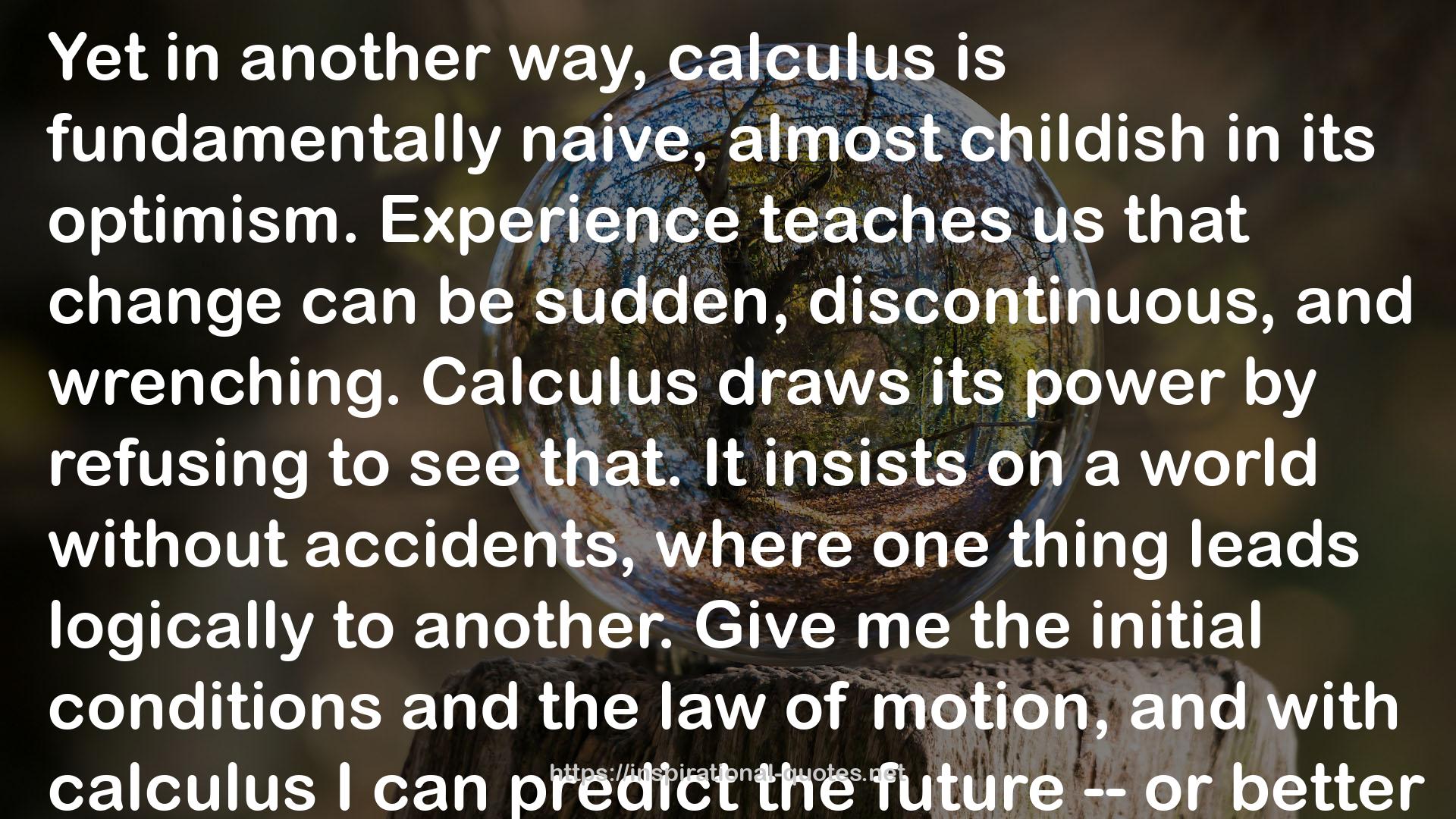 The Calculus of Friendship: What a Teacher and a Student Learned about Life While Corresponding about Math QUOTES