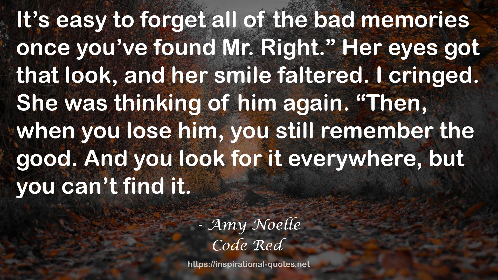 Amy Noelle QUOTES