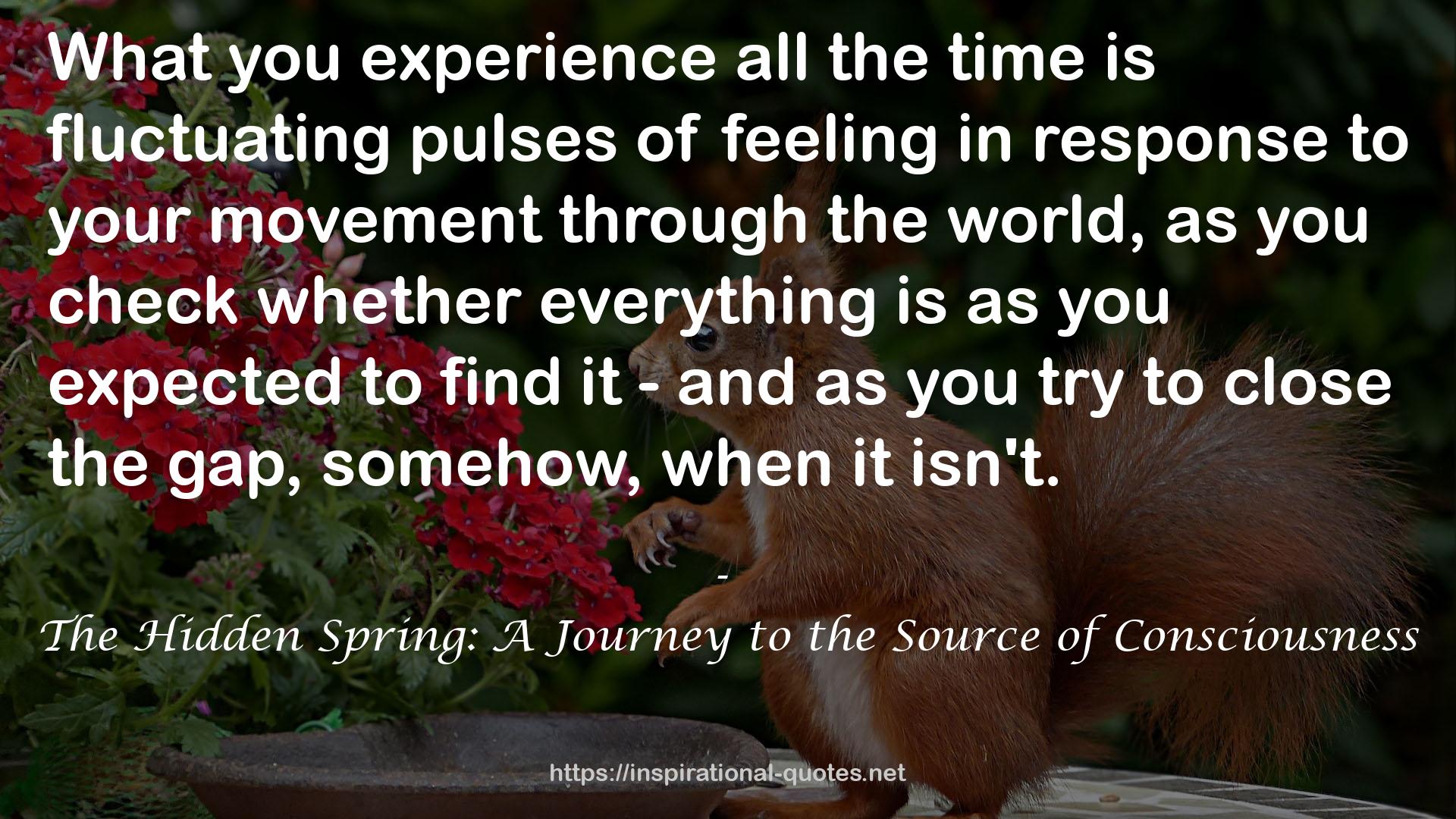 The Hidden Spring: A Journey to the Source of Consciousness QUOTES