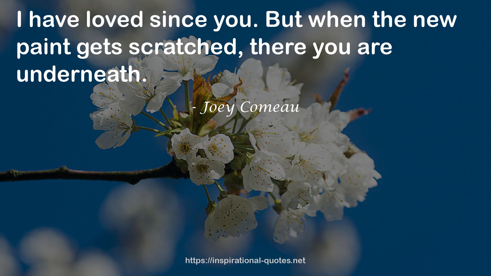 Joey Comeau QUOTES