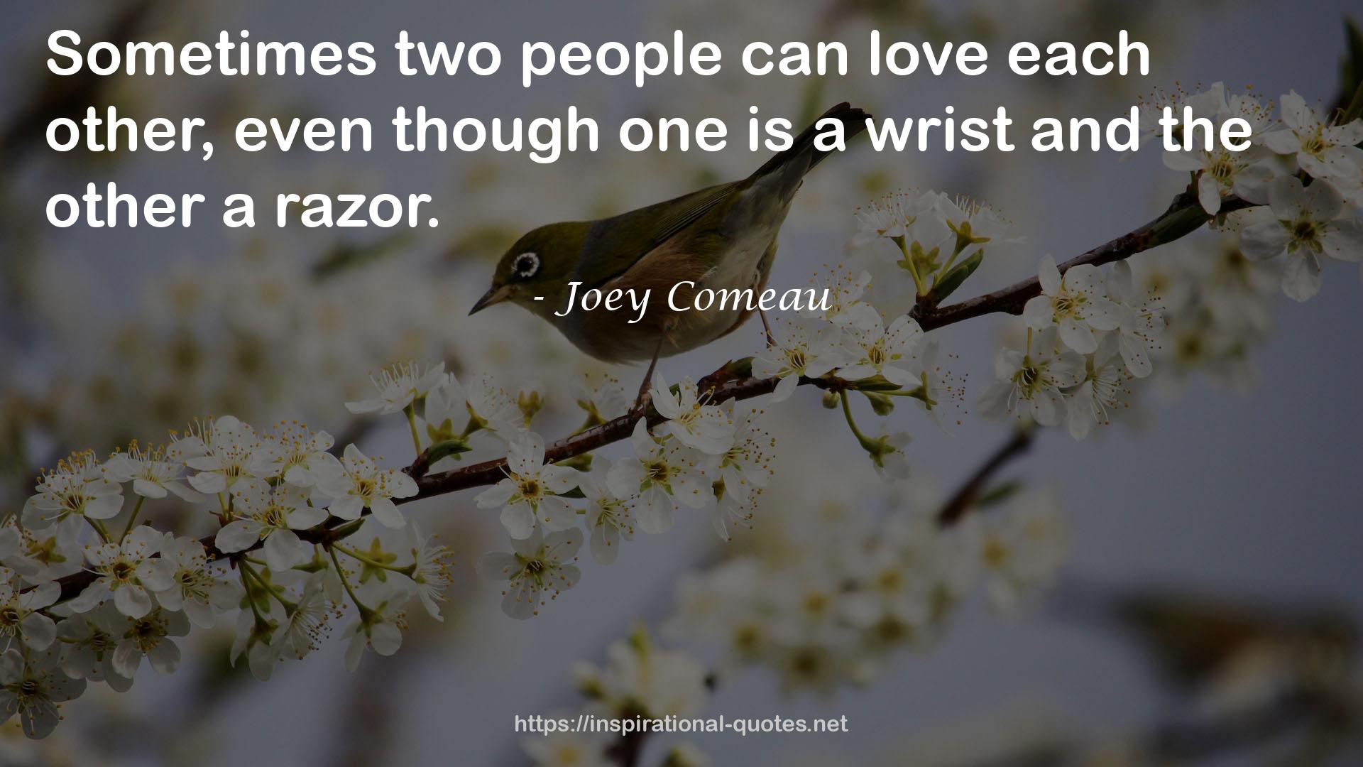 Joey Comeau QUOTES